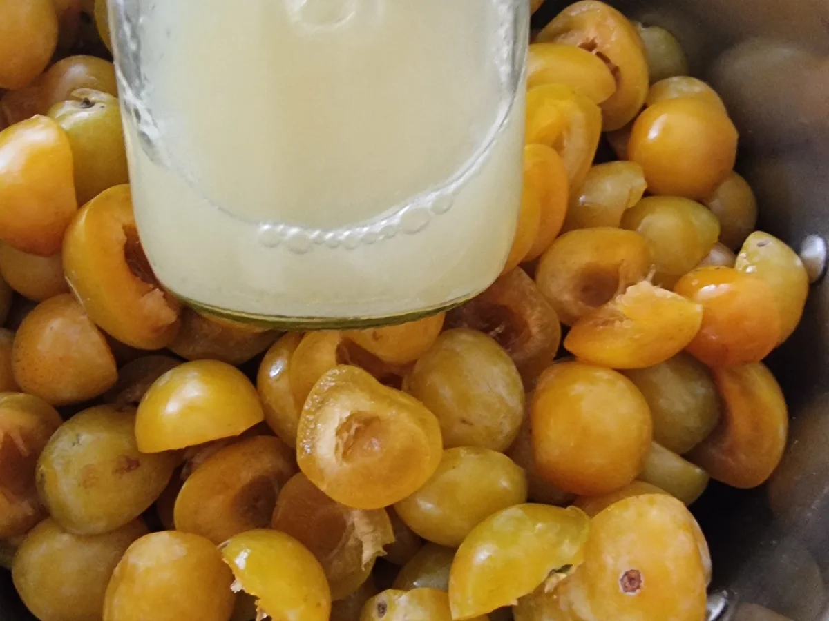 Rezept: Mirabellen-Thymian-Konfitüre Bild Nr. 17140 Mirabellen-Thymian-Konfitüre - Rezept - Bild Nr. 17140