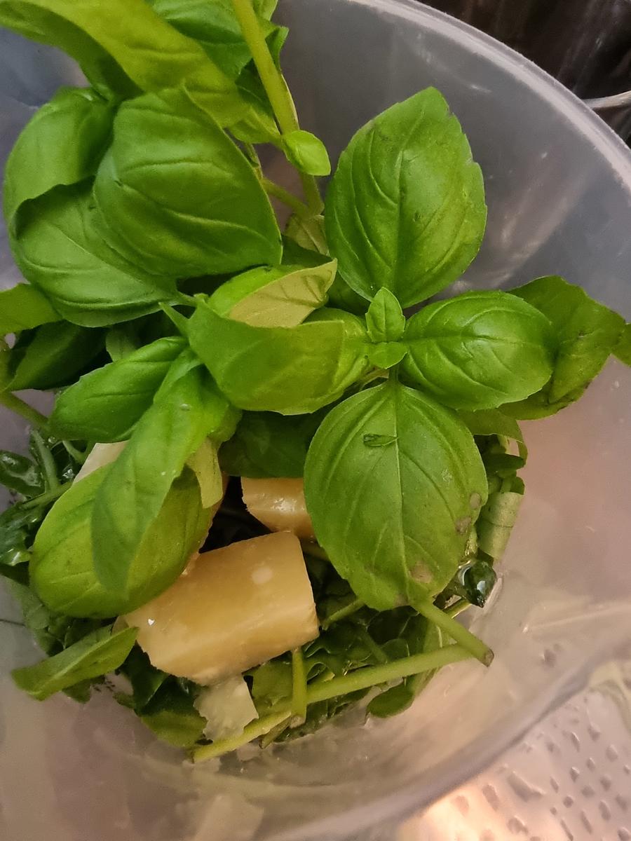 Nudeln mit Rucola-Basilikum-Pesto - Rezept - Bild Nr. 17139