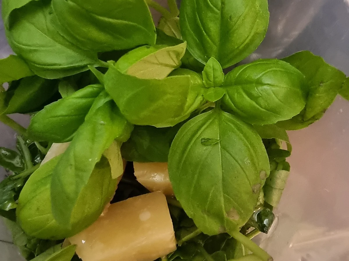 Nudeln mit Rucola-Basilikum-Pesto - Rezept - Bild Nr. 17139