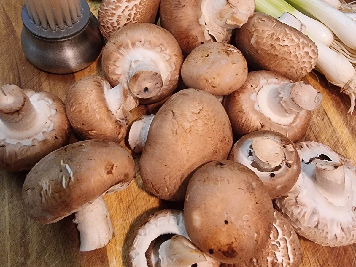 Rezept: Gyros-Nudelauflauf Bild Nr. 5 Gyros-Nudelauflauf - Rezept - Bild Nr. 5