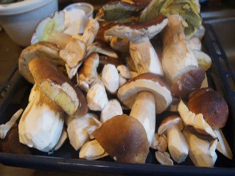 Böhmische Knödel mit Rahm-Steinpilzen - Rezept - Bild Nr. 3