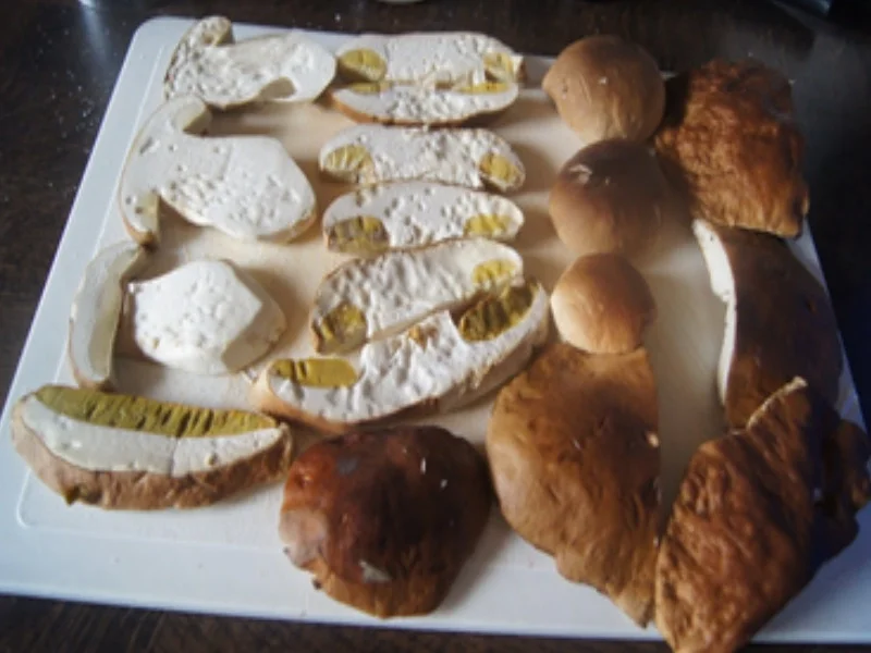 Rezept: Steinpilzschnitzelchen Bild Nr. 4 Steinpilzschnitzelchen - Rezept - Bild Nr. 4