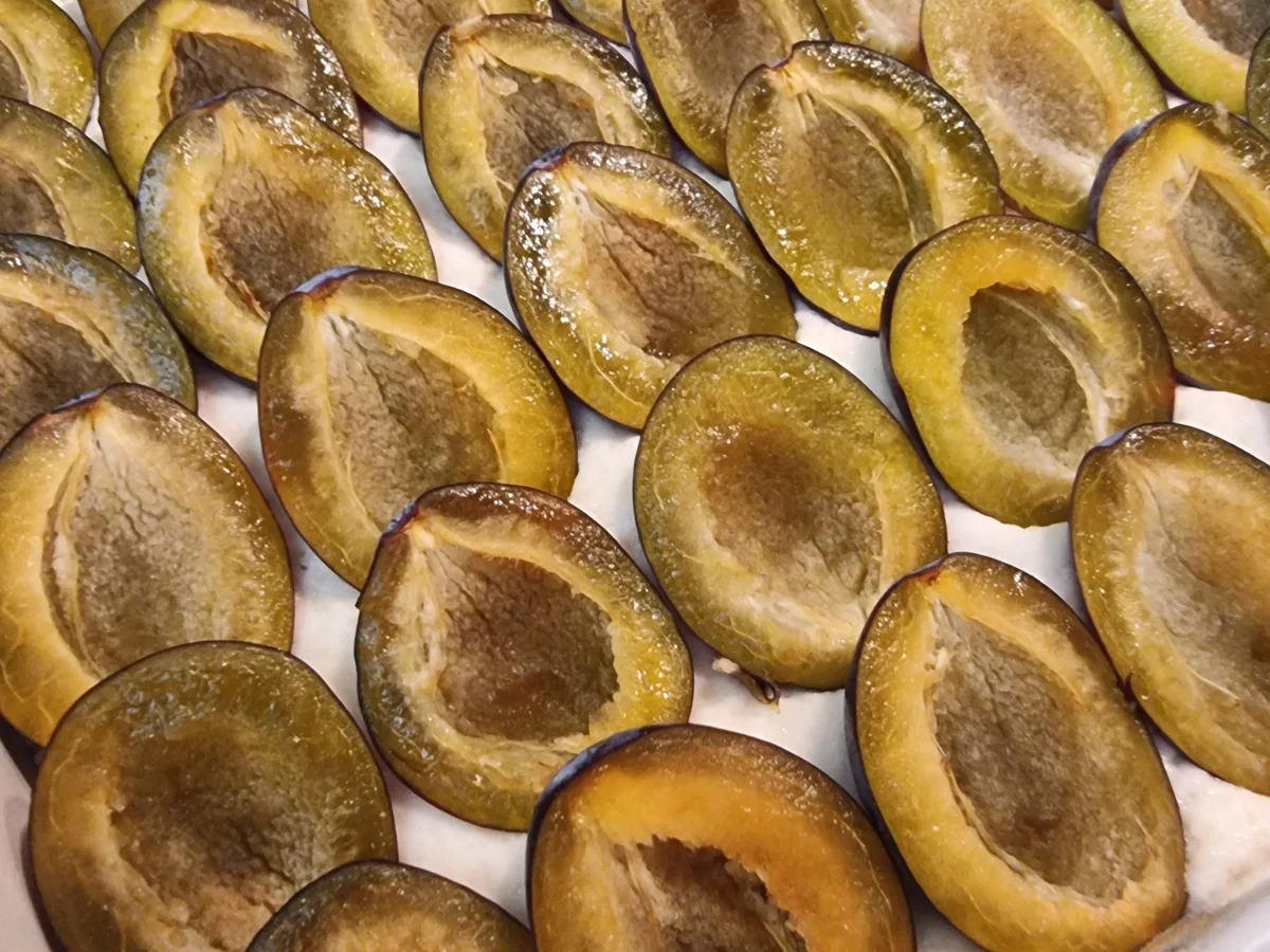 Rezept: Pflaumen-Datschi Bild Nr. 17153 Pflaumen-Datschi - Rezept - Bild Nr. 17153