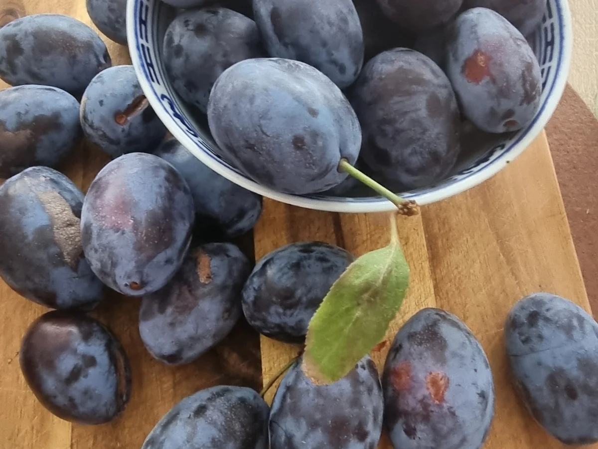 Pflaumen -Zimt -Marmelade - Rezept - Bild Nr. 17144