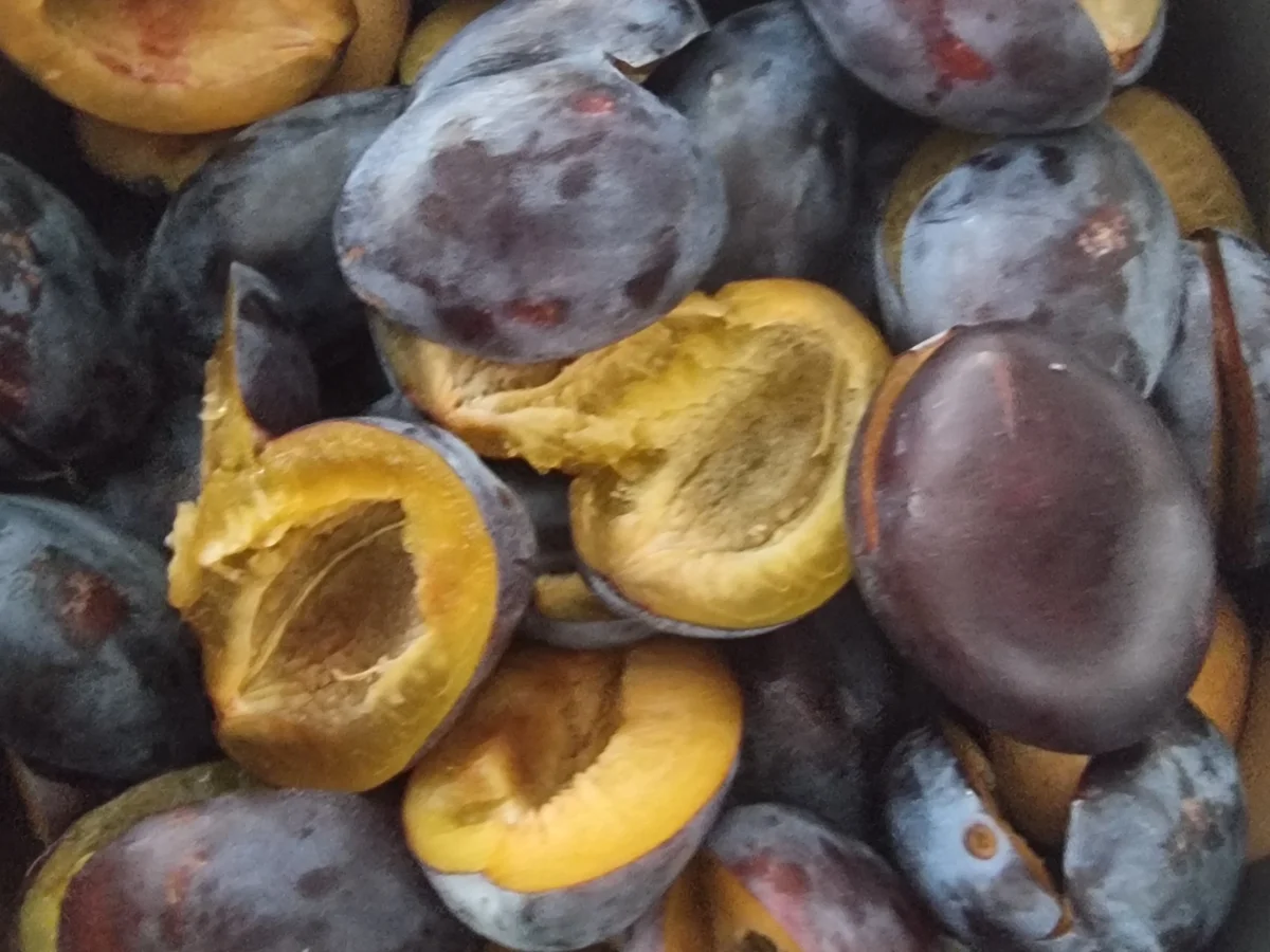 Pflaumen -Zimt -Marmelade - Rezept - Bild Nr. 17145