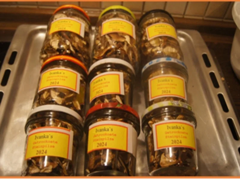 Getrocknete Steinpilze 2024 - Rezept - Bild Nr. 2