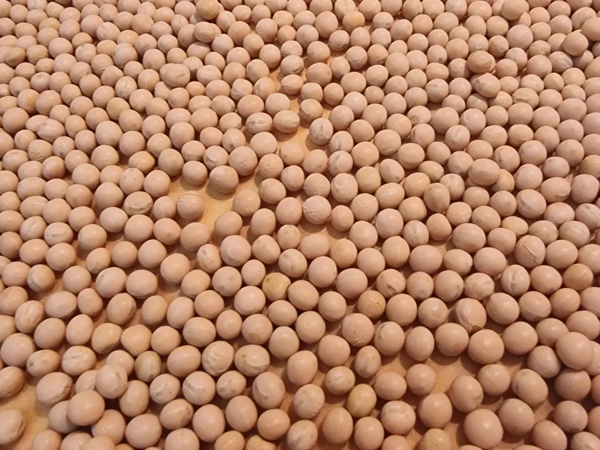 Rezept: Gemüse-Quiche Bild Nr. 17149 Gemüse-Quiche - Rezept - Bild Nr. 17149