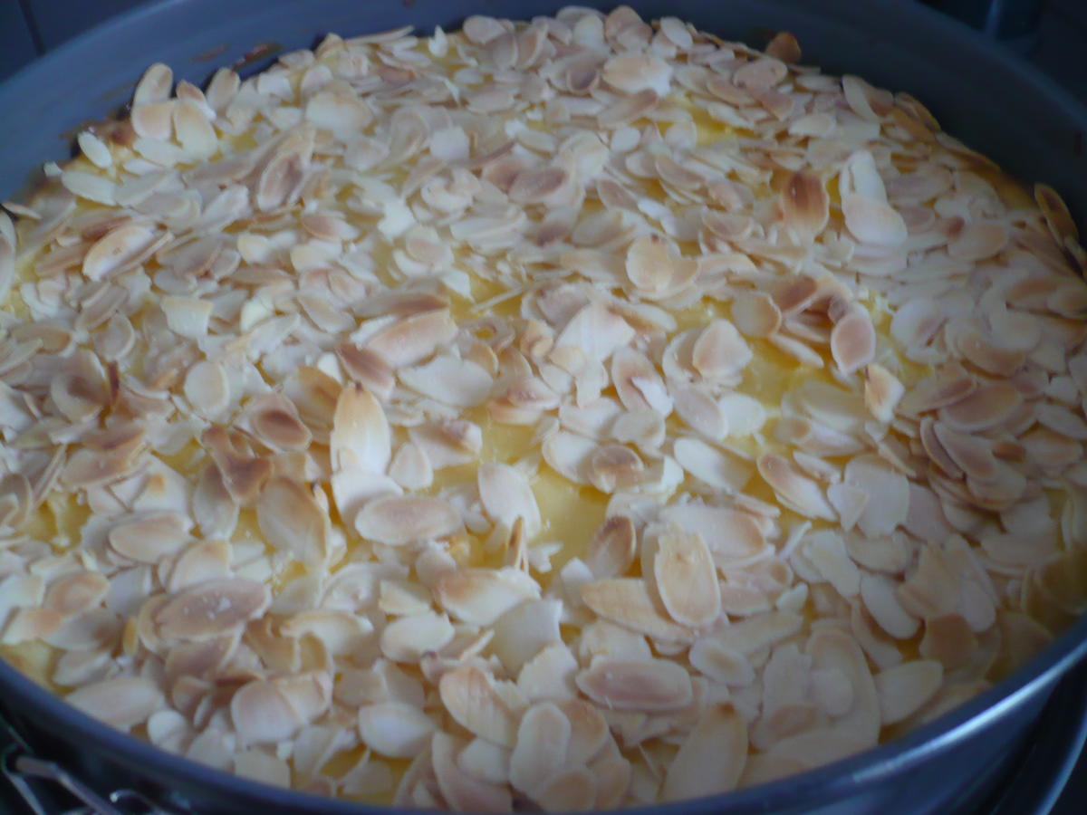 Apfel - Schmand -  Kuchen  mit Vanillepudding - Rezept - Bild Nr. 17150