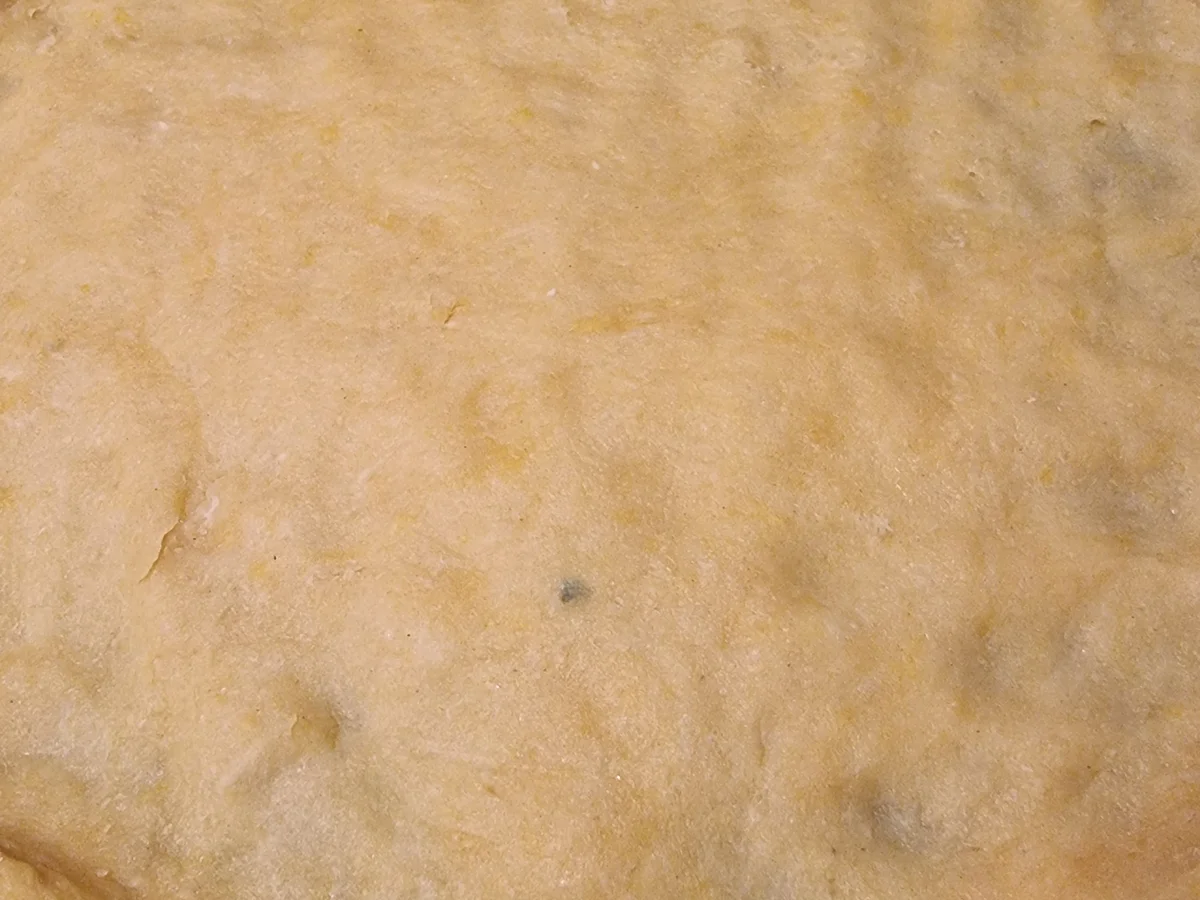 Pilz Quiche - Rezept - Bild Nr. 17146