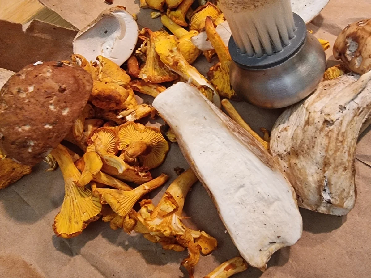 Pilz Quiche - Rezept - Bild Nr. 17147