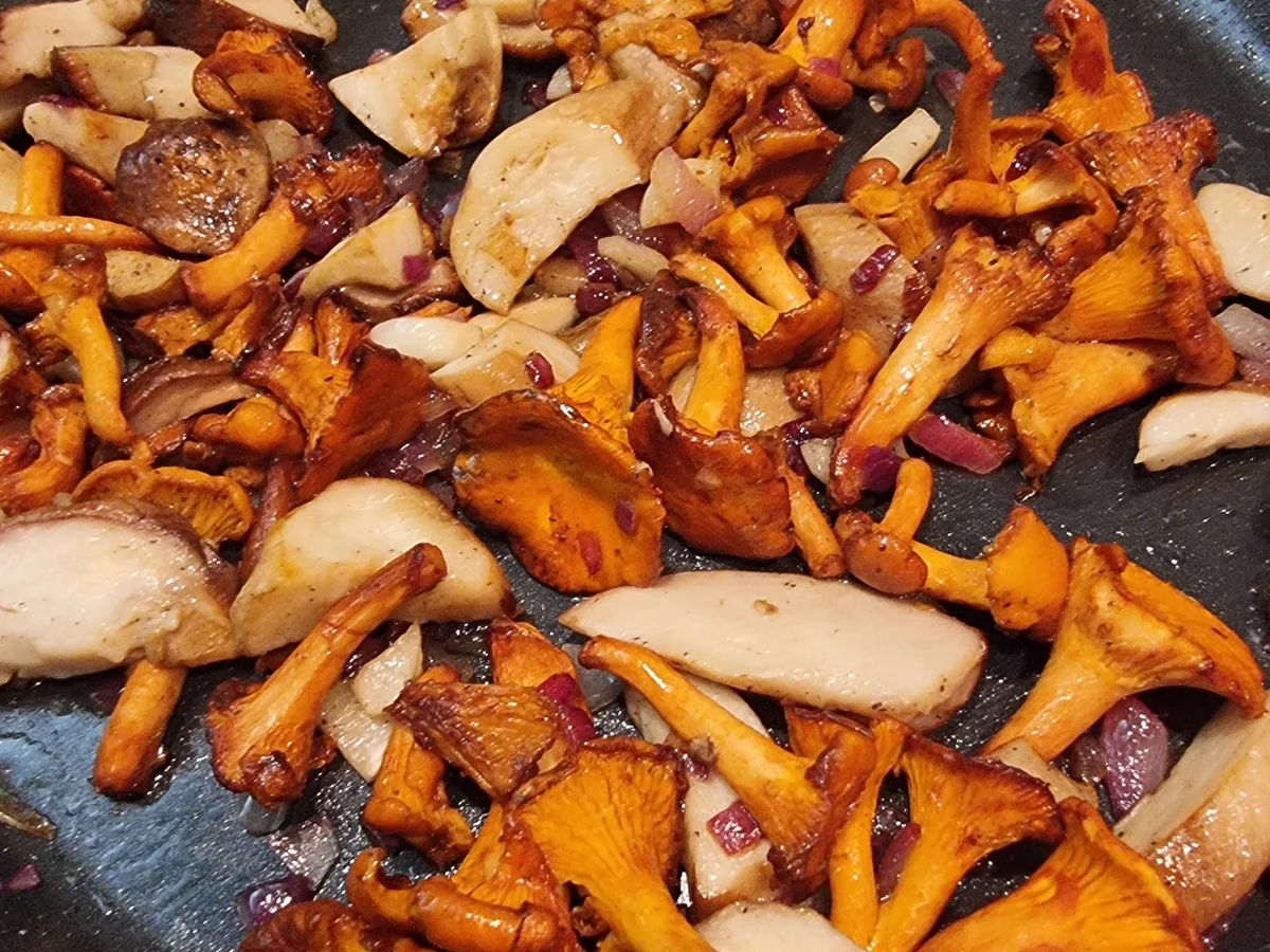 Pilz Quiche - Rezept - Bild Nr. 17150