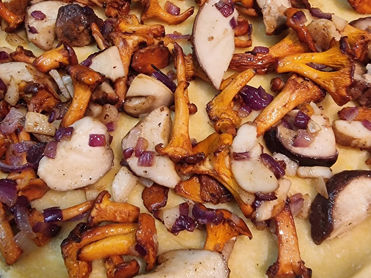 Pilz Quiche - Rezept - Bild Nr. 17153