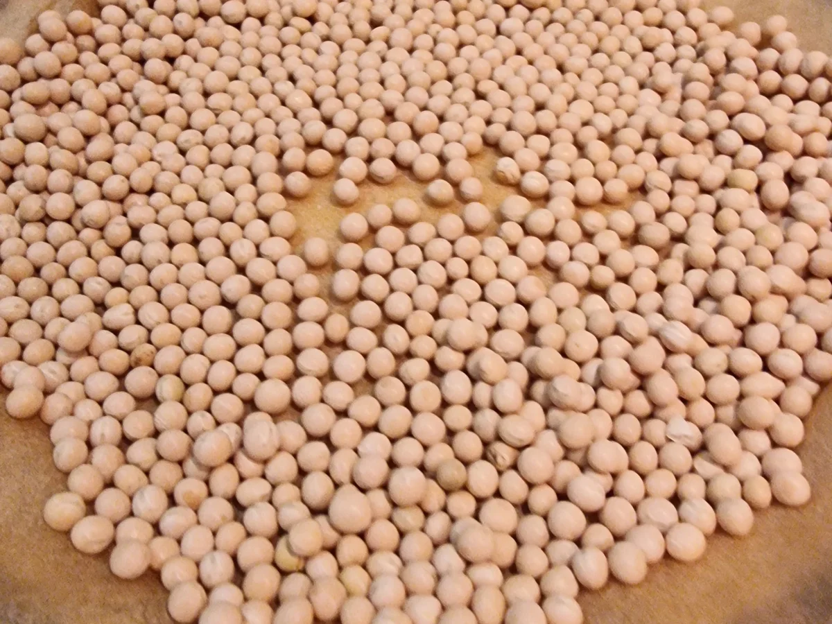 Himbeer-Vanille-Pie - Rezept - Bild Nr. 17151