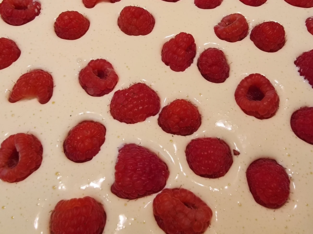 Himbeer-Vanille-Pie - Rezept - Bild Nr. 17157