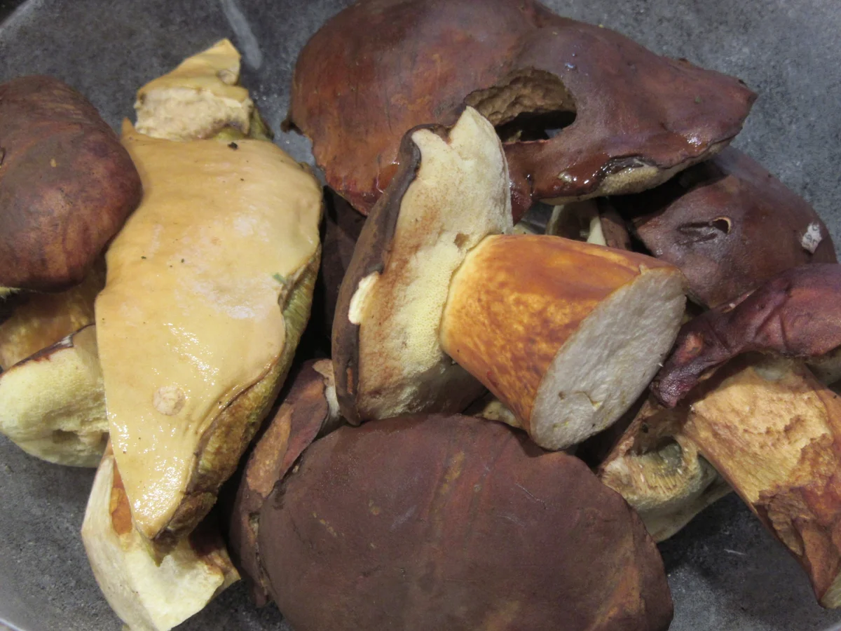 Pilze: Waldpilze mit Brez´n-Knödeln aus dem Schnellkochtopf - Rezept - Bild Nr. 17151