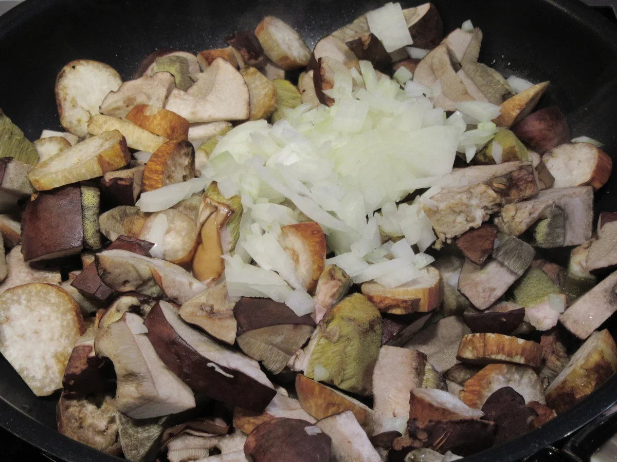 Pilze: Waldpilze mit Brez´n-Knödeln aus dem Schnellkochtopf - Rezept - Bild Nr. 17152