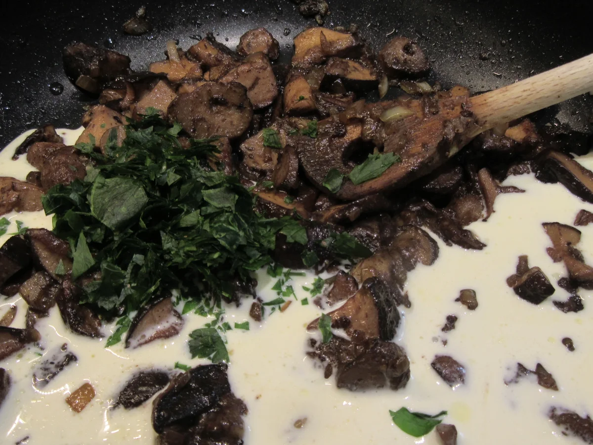 Pilze: Waldpilze mit Brez´n-Knödeln aus dem Schnellkochtopf - Rezept - Bild Nr. 17154