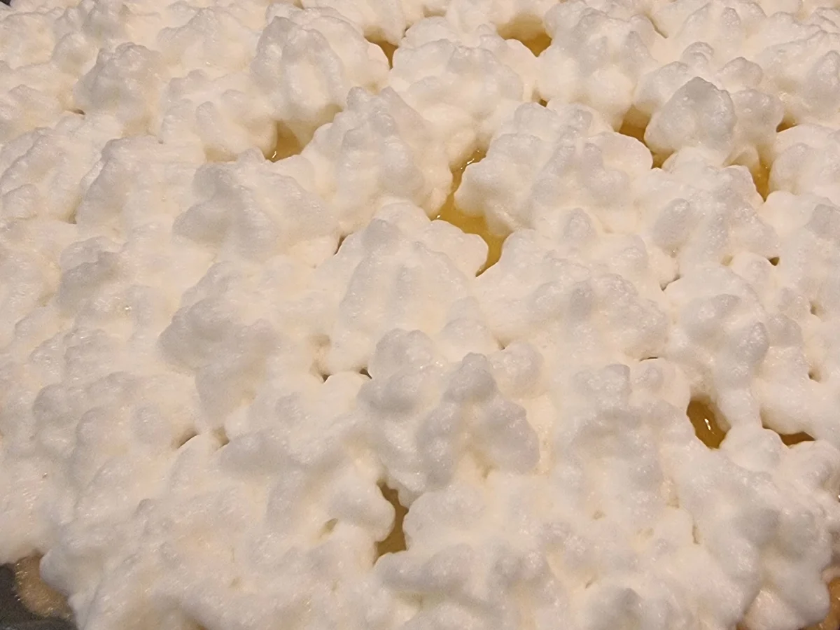 Orangen-Tarte mit Baiserhaube - Rezept - Bild Nr. 17164