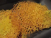 Deko: Parmesan-Korallen - Rezept - Bild Nr. 2