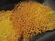 Deko: Parmesan-Korallen - Rezept - Bild Nr. 2