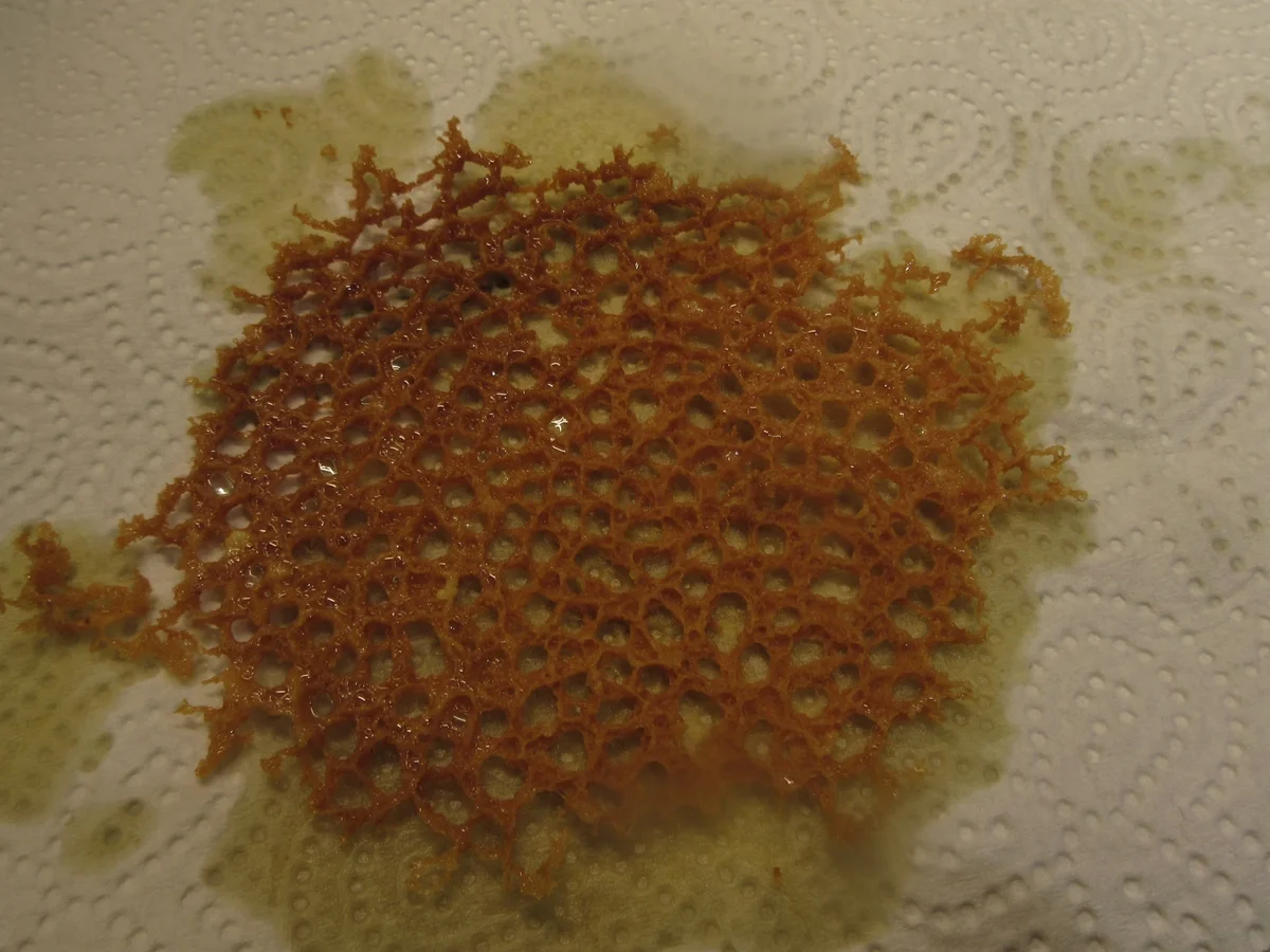 Deko: Parmesan-Korallen - Rezept - Bild Nr. 4