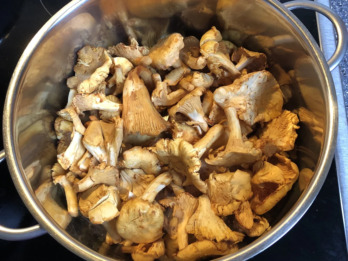 Pfifferlingsuppe - Rezept - Bild Nr. 17159