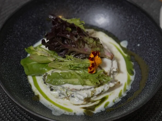 Rezept: Kohlrabi-Taler mit Kohlrabi-Basilikum-Salat und Basilikum-Kefir-Sauce Bild Nr. 2 Kohlrabi-Taler mit Kohlrabi-Basilikum-Salat und Basilikum-Kefir-Sauce - Rezept - Bild Nr. 2