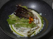 Kohlrabi-Taler mit Kohlrabi-Basilikum-Salat und Basilikum-Kefir-Sauce - Rezept - Bild Nr. 2