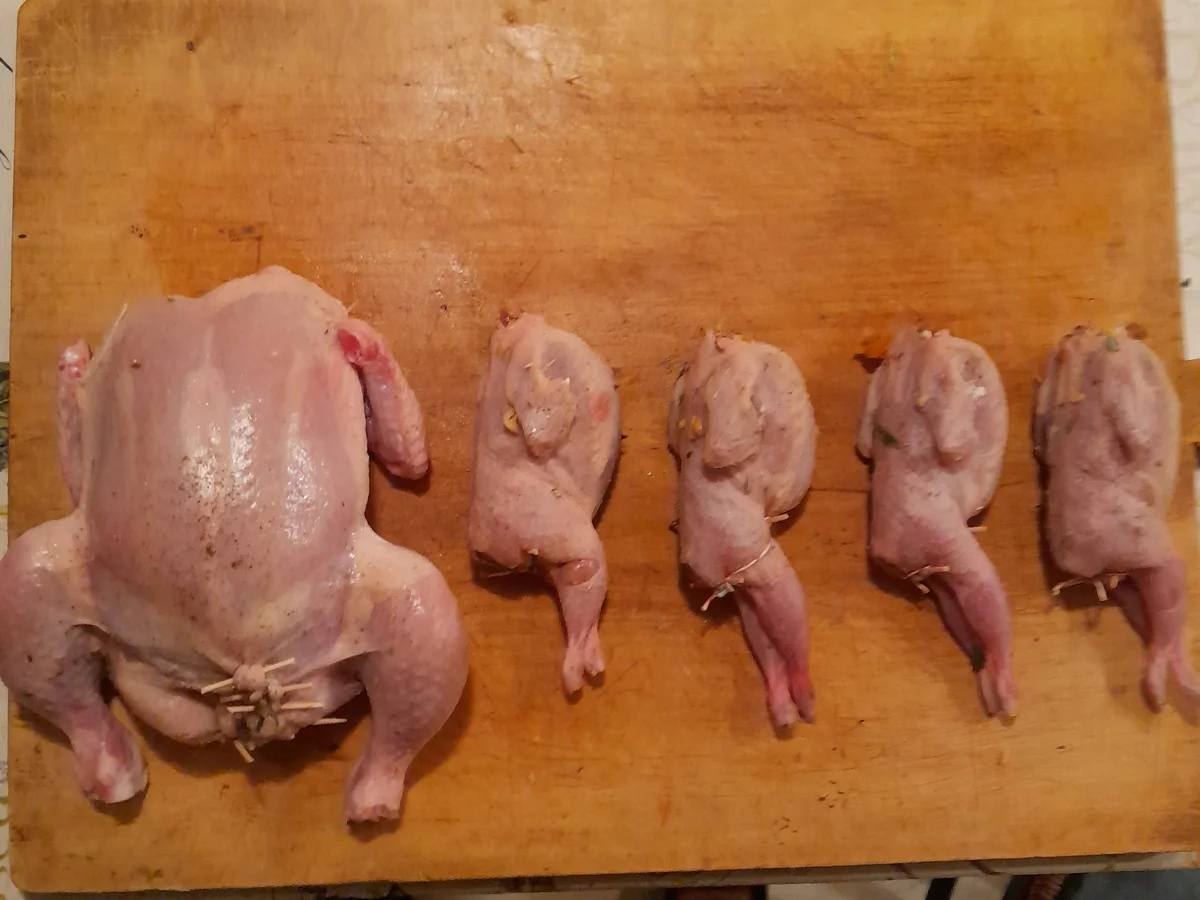 Wachteln & Huhn - Rezept - Bild Nr. 17201