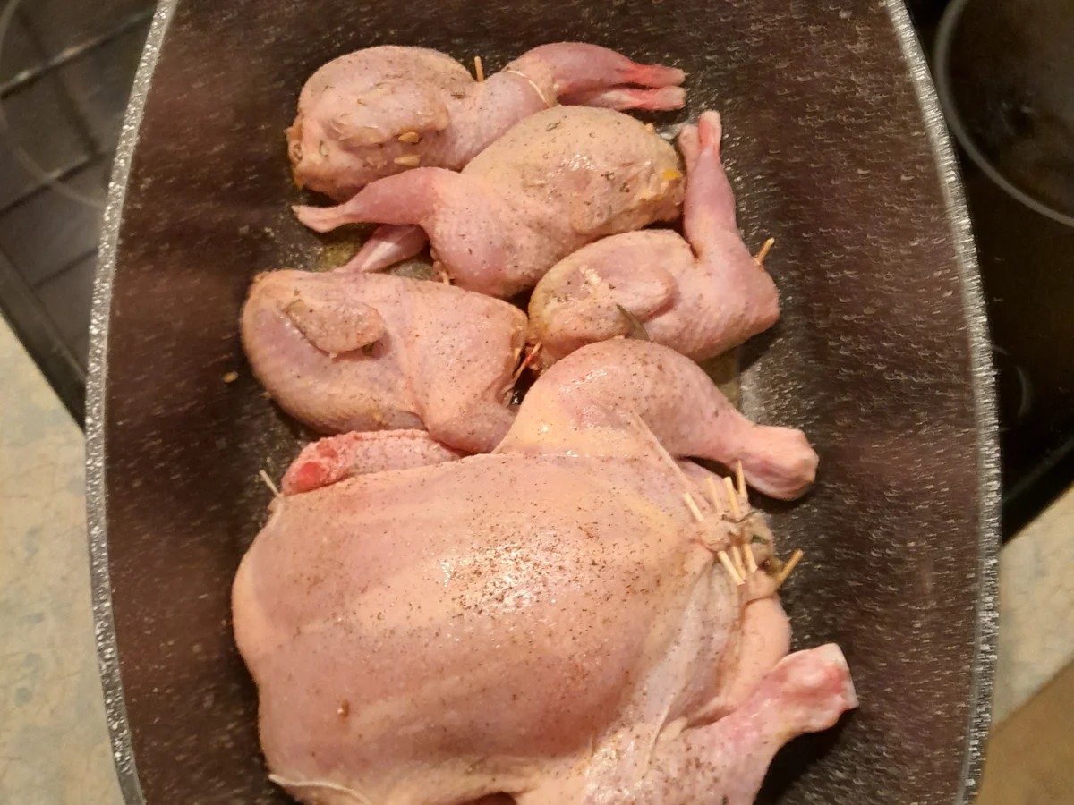 Wachteln & Huhn - Rezept - Bild Nr. 17202