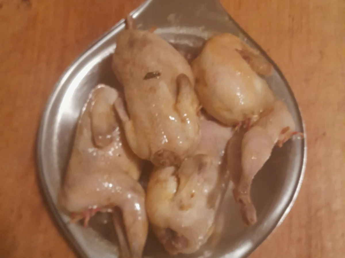 Wachteln & Huhn - Rezept - Bild Nr. 17205