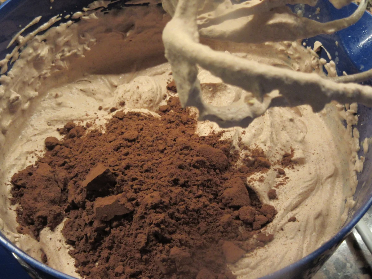 Backen: Sanddorn-Schoko-Schnitte - Rezept - Bild Nr. 17210