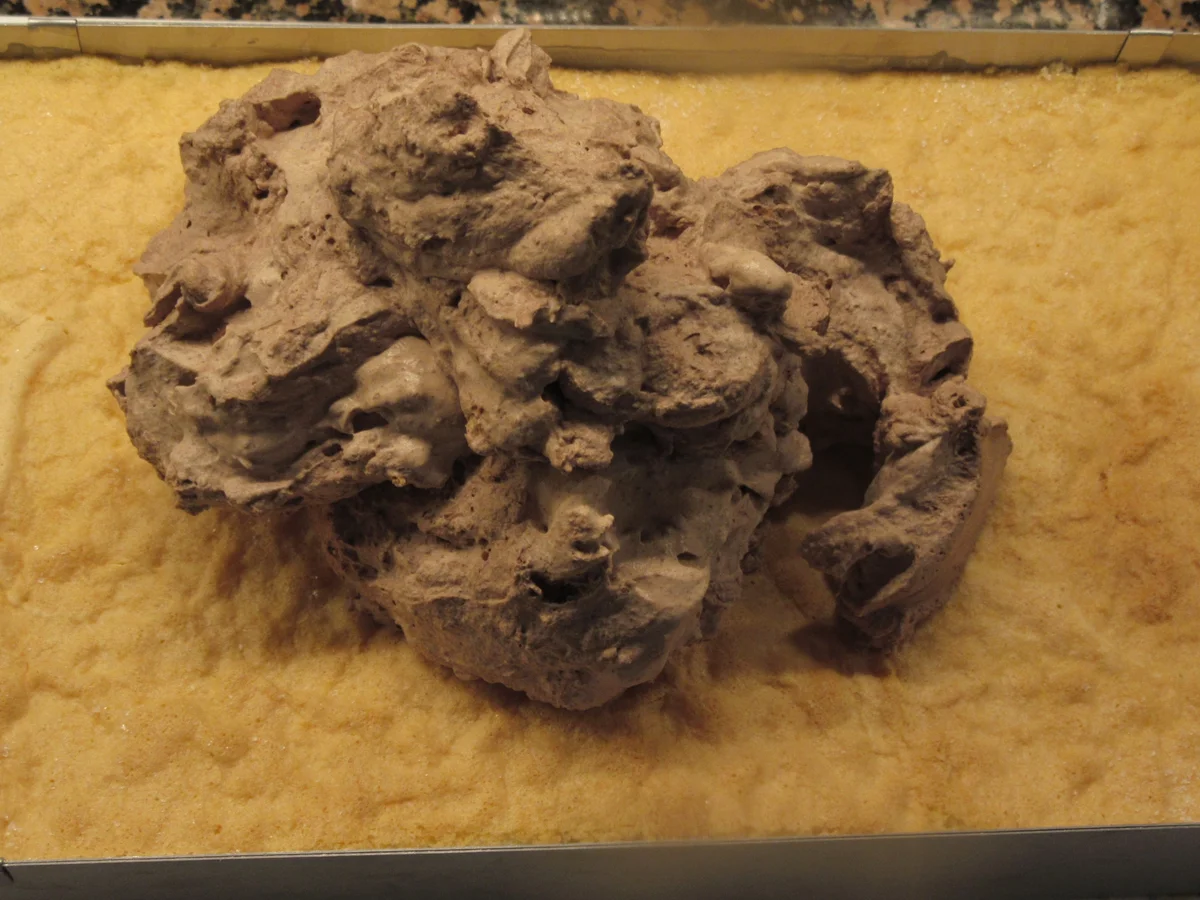 Backen: Sanddorn-Schoko-Schnitte - Rezept - Bild Nr. 17212