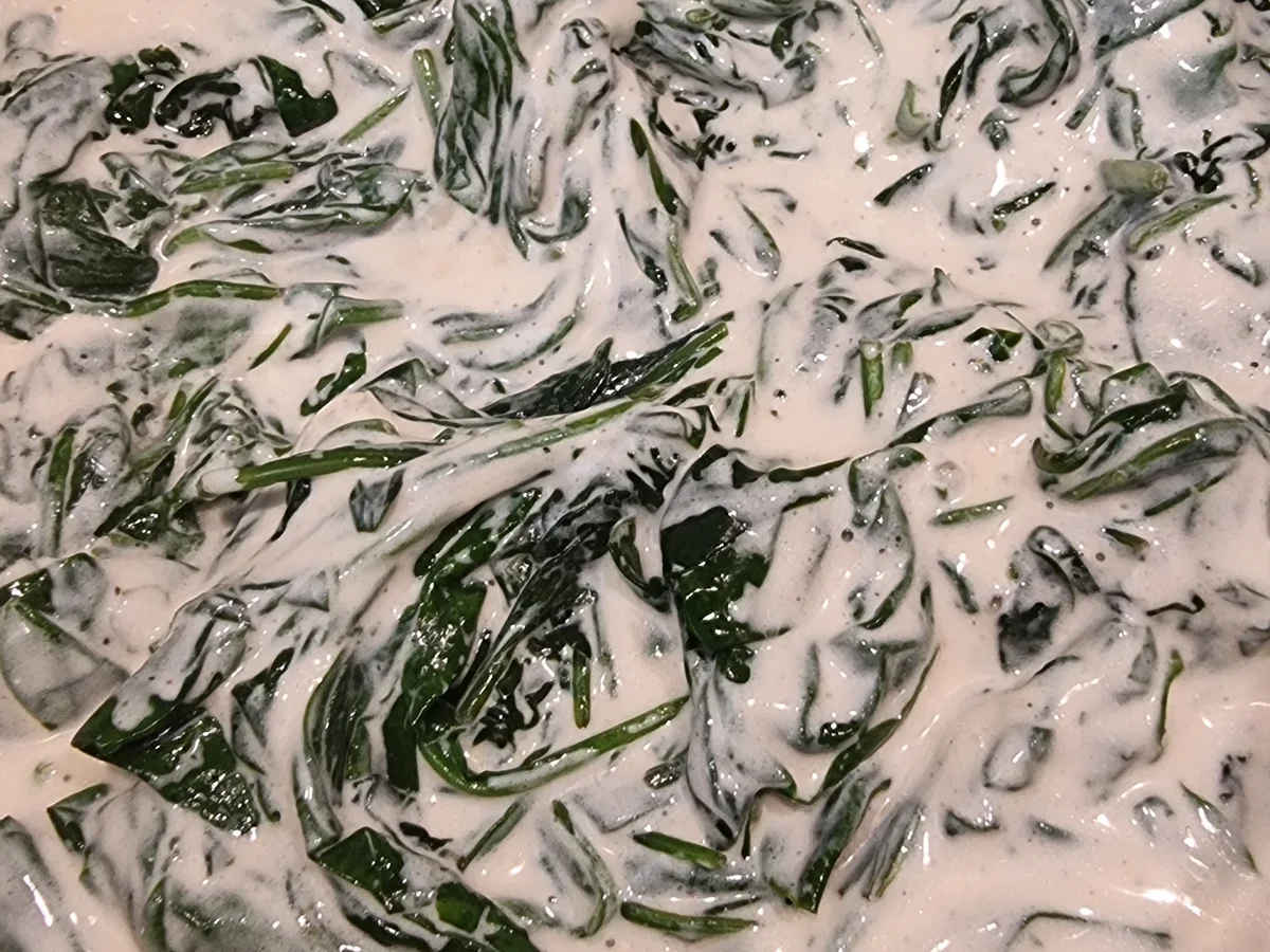 Tagliatelle mit Spinat und Frischkäsesauce - Rezept - Bild Nr. 17210