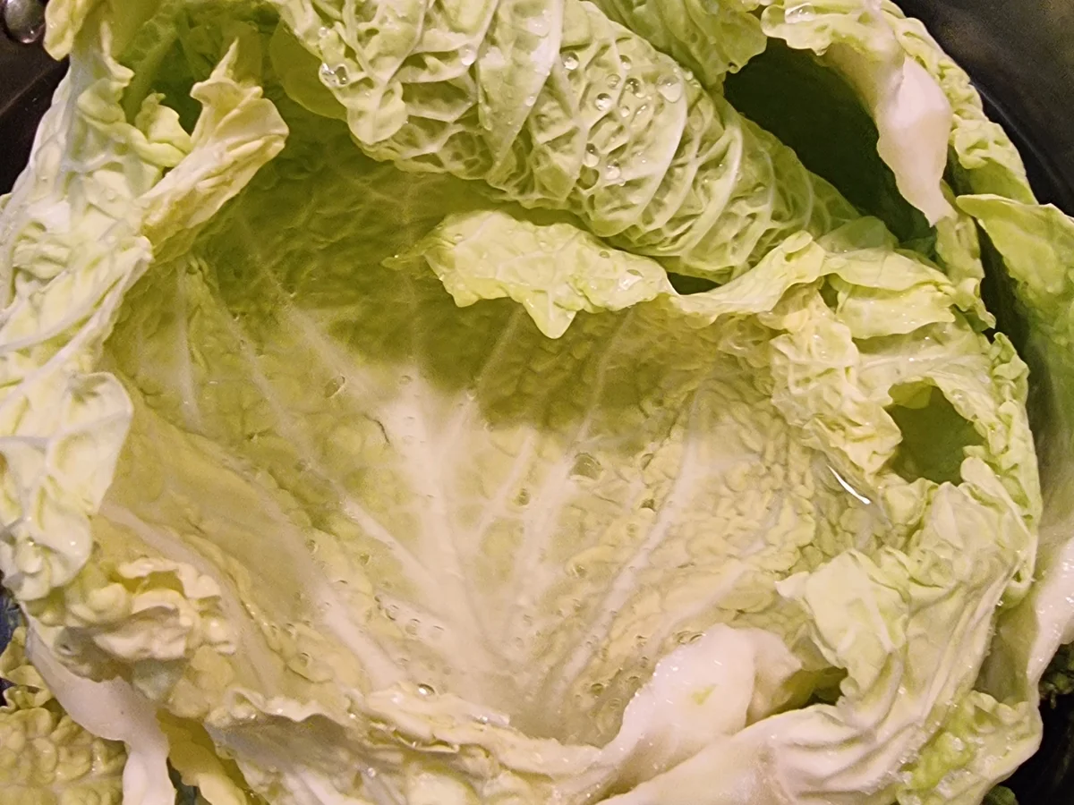 Kohlrouladen mit Petersilien-Kartoffeln - Rezept - Bild Nr. 17210