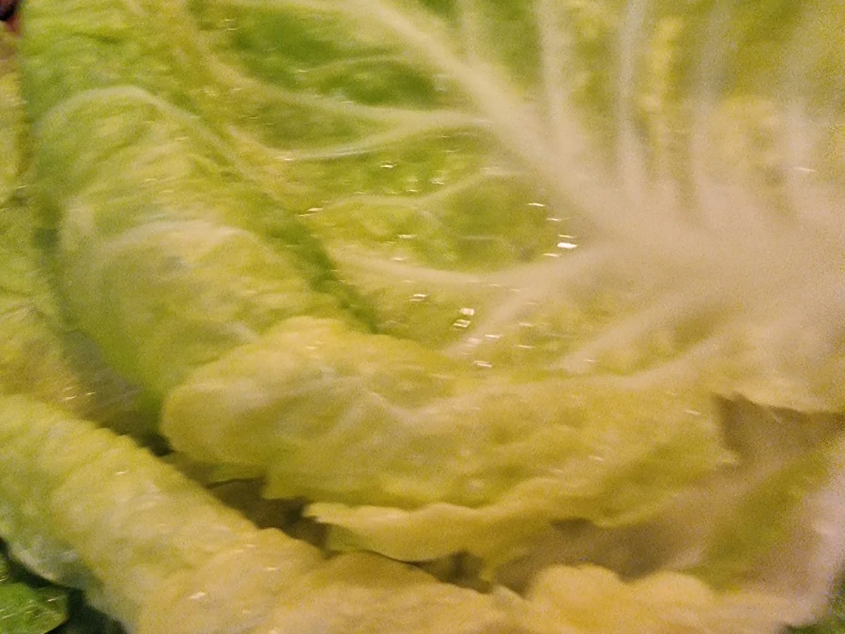 Kohlrouladen mit Petersilien-Kartoffeln - Rezept - Bild Nr. 17211