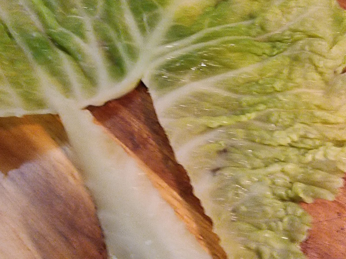 Kohlrouladen mit Petersilien-Kartoffeln - Rezept - Bild Nr. 17212