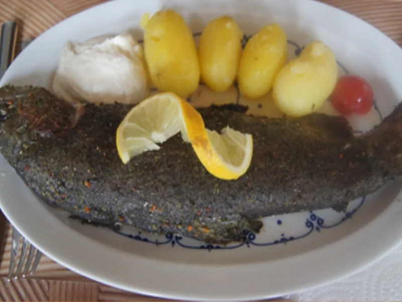 Rezept: Backofen-Forelle mit Sahne-Meerrettich und Salzkartoffeln Bild Nr. 6 Backofen-Forelle mit Sahne-Meerrettich und Salzkartoffeln - Rezept - Bild Nr. 6