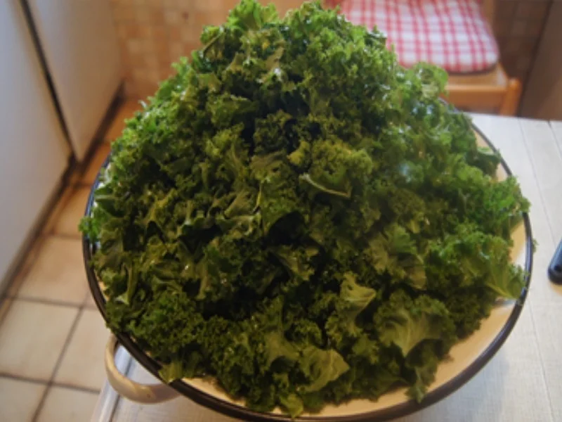 Rezept: Grünkohl mit Bregenwurst und Schweinenacken und Salzkartoffeln Bild Nr. 11 Grünkohl mit Bregenwurst und Schweinenacken und Salzkartoffeln - Rezept - Bild Nr. 11