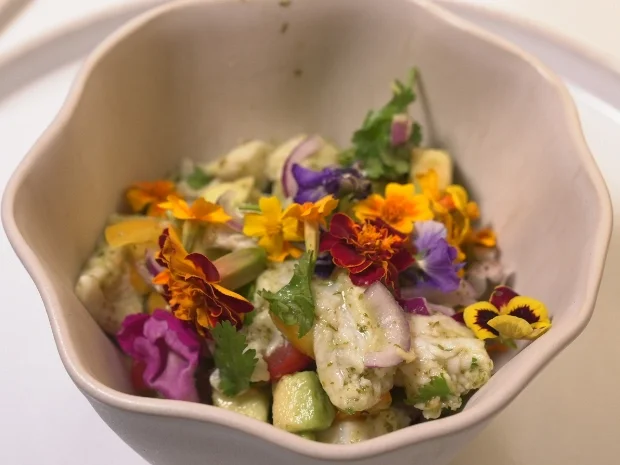 Rezept: Ceviche mit Avocado und Limette Bild Nr. 17211 Ceviche mit Avocado und Limette - Rezept - Bild Nr. 17211