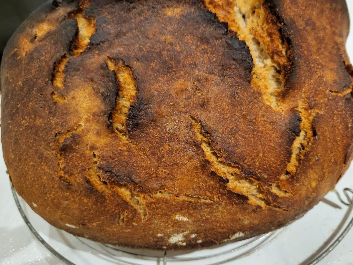 Bauernbrotlaib - Rezept - Bild Nr. 17230