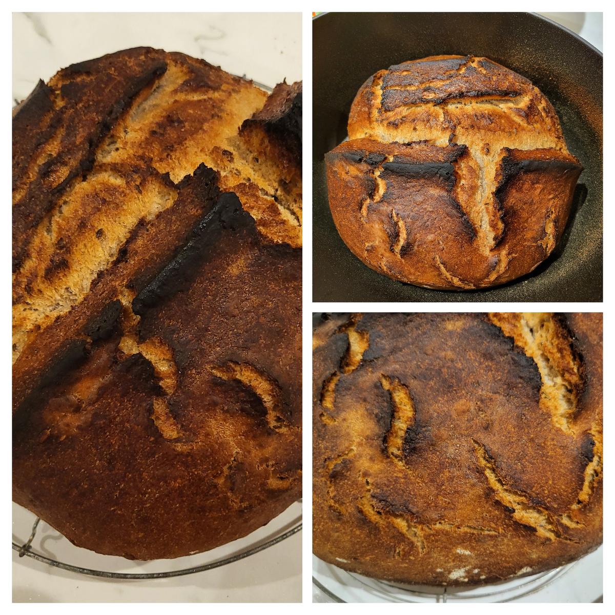 Bauernbrotlaib - Rezept - Bild Nr. 17231