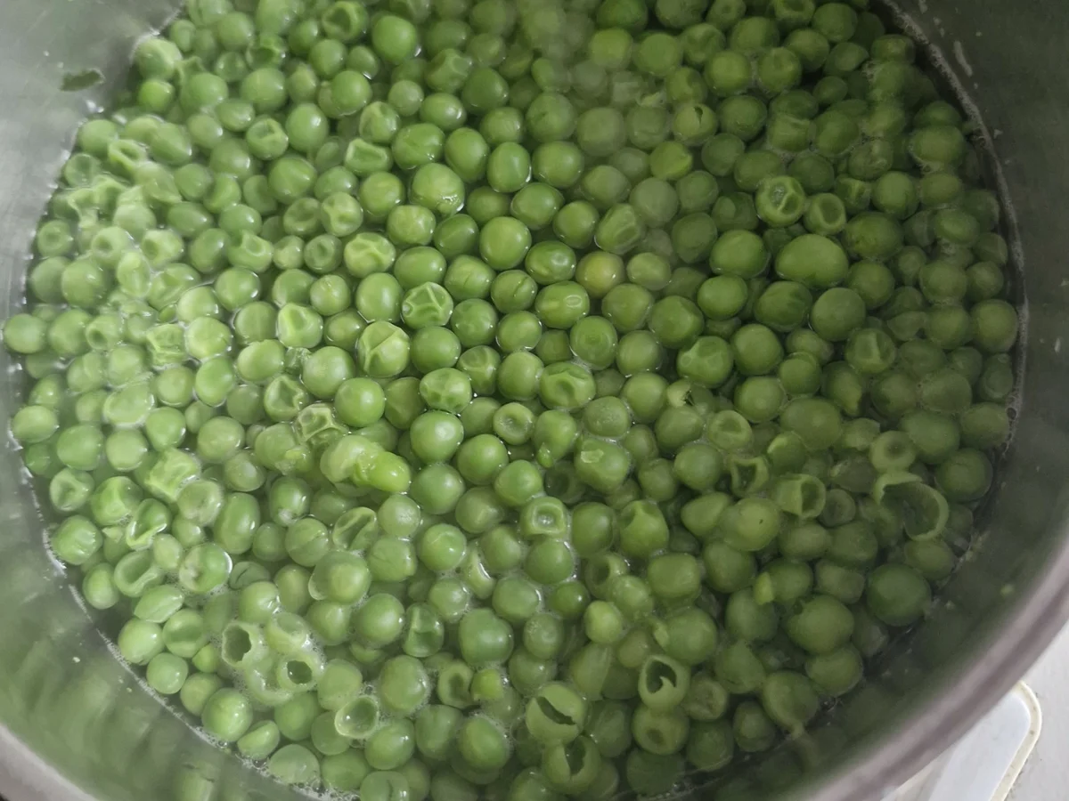 Jacobsmuscheln mit Erbsenpüree und Vanille-Beurre Blanc - Rezept - Bild Nr. 17232