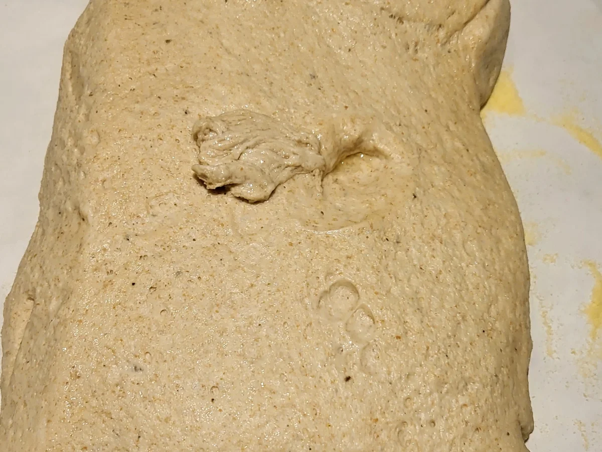 Grissini aus Sauerteig - Rezept - Bild Nr. 5