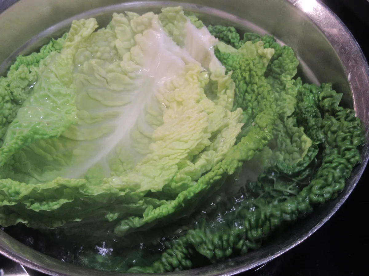 Rezept: Gemüse: Wirsingroulade auf rotem Zwiebelmus Bild Nr. 17244 Gemüse: Wirsingroulade auf rotem Zwiebelmus - Rezept - Bild Nr. 17244