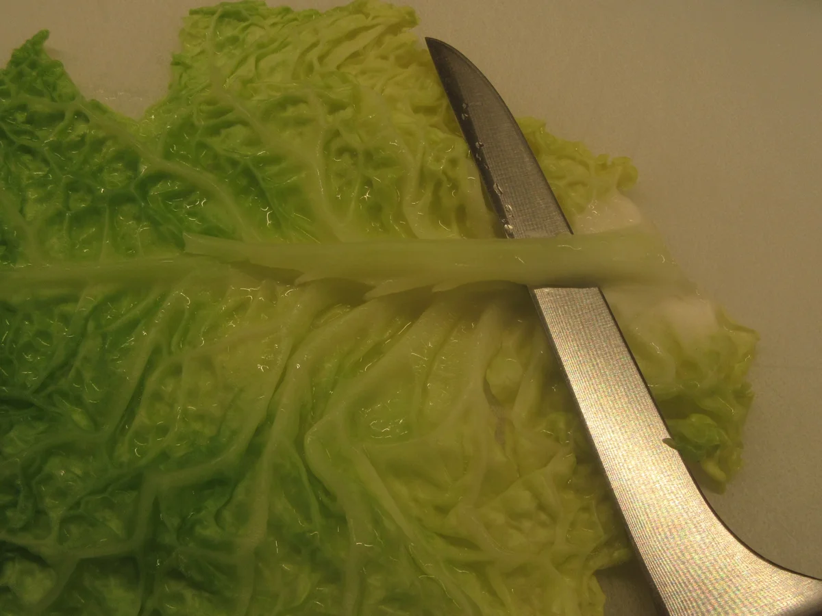 Rezept: Gemüse: Wirsingroulade auf rotem Zwiebelmus Bild Nr. 17245 Gemüse: Wirsingroulade auf rotem Zwiebelmus - Rezept - Bild Nr. 17245