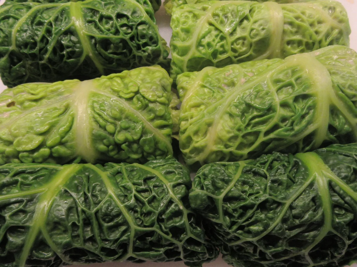 Rezept: Gemüse: Wirsingroulade auf rotem Zwiebelmus Bild Nr. 17252 Gemüse: Wirsingroulade auf rotem Zwiebelmus - Rezept - Bild Nr. 17252