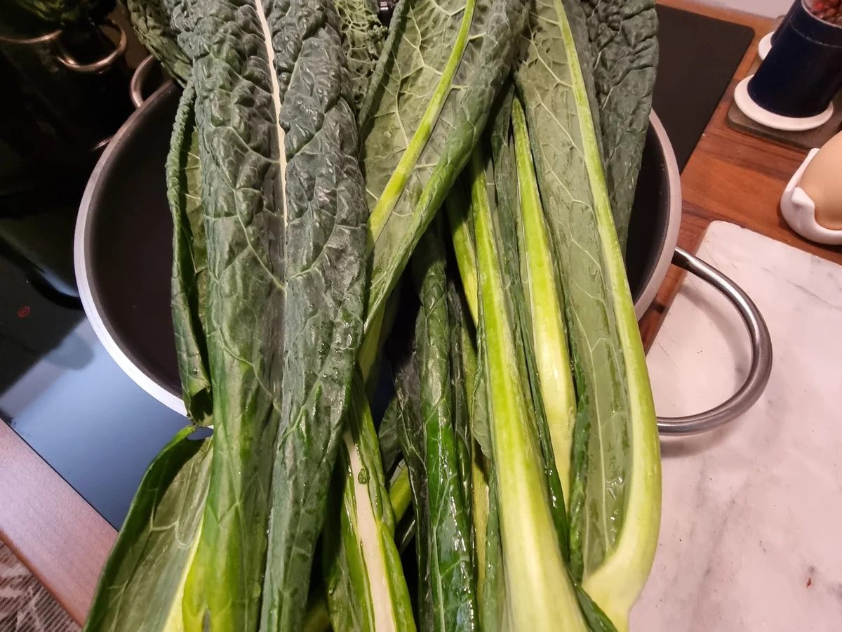 Winter-Spaghetti - Rezept - Bild Nr. 17245