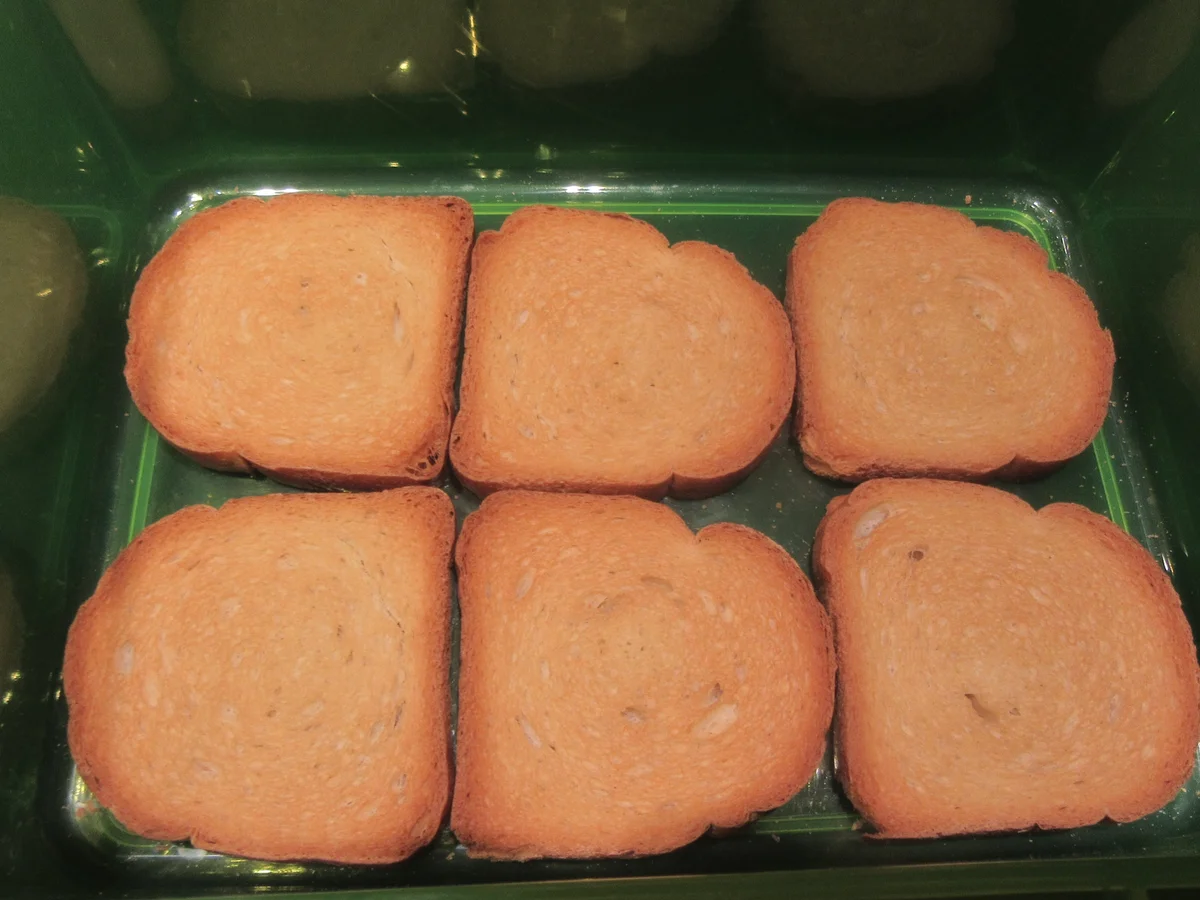 Rezept: Dessert: Ekmek - Griechischer Zwiebackkuchen Bild Nr. 17249 Dessert: Ekmek - Griechischer Zwiebackkuchen - Rezept - Bild Nr. 17249