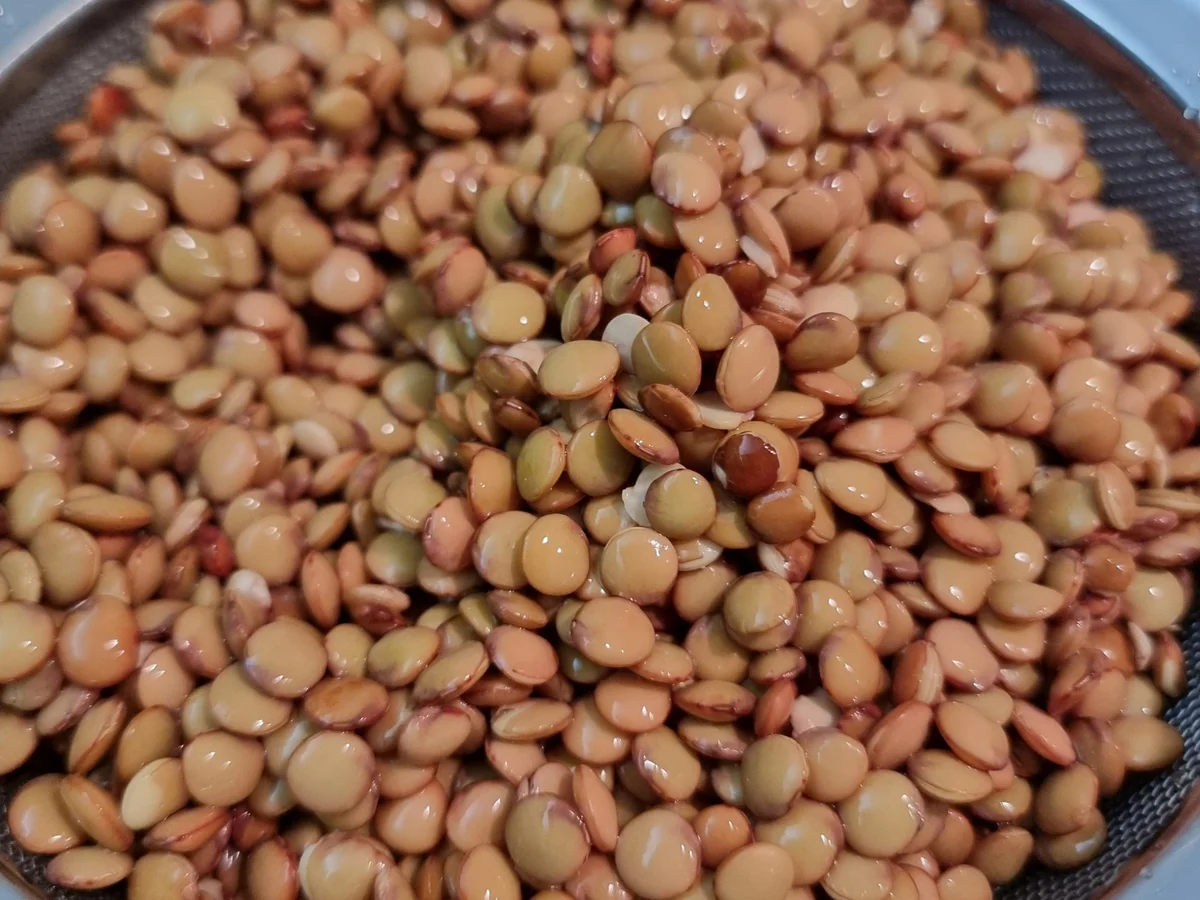 Asiatische Linsen-Pfanne - Rezept - Bild Nr. 17250